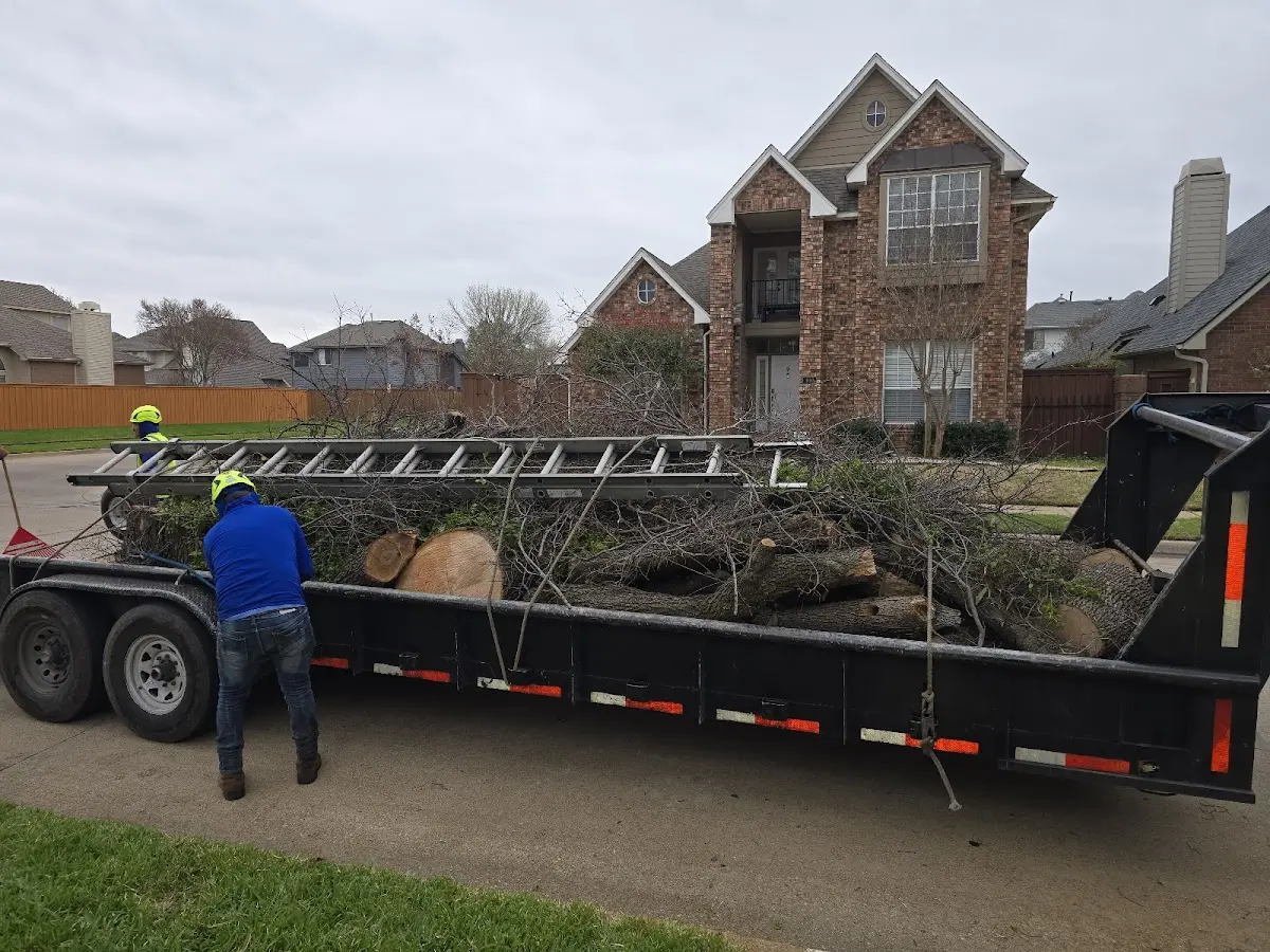 Expert Tree Fertilization with proper safety equipment in Roosevelt